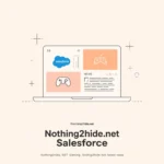 Read more about the article Nothing2hide.net Salesforce: A Deep Look into Its Role and Insights
