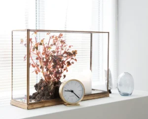 Home Decor Market Expands As Consumers Seek Display Cases