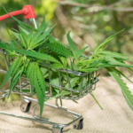 Read more about the article Healthtech Innovation: How the UK Is Modernising Cannabis Products Access