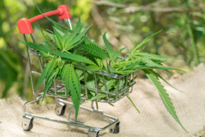 Healthtech Innovation: How the UK Is Modernising Cannabis Products Access