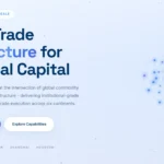 Read more about the article ShineGulf.com Review: Assessing the Efficacy of Proprietary Cross-Regional Arbitrage Strategies